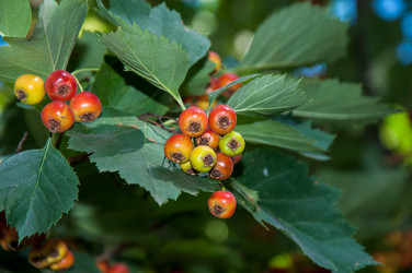 Similar image 2962070