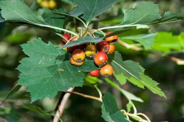 Similar image 2962073