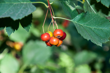 Similar image 2962075