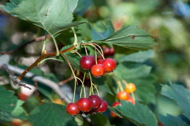 Similar image 2962078