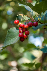 Similar image 2962080