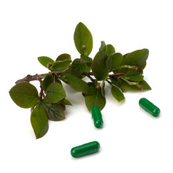 Similar image 2962081