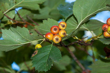 Similar image 2962082