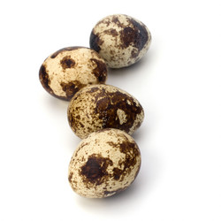 Similar image 2962083