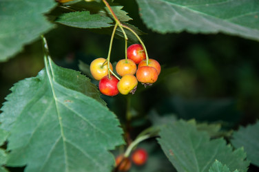 Similar image 2962085