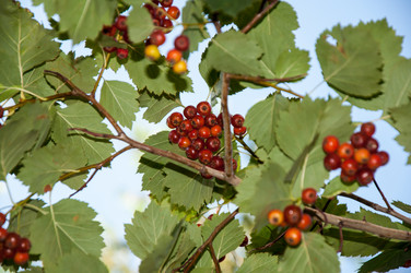 Similar image 2962087