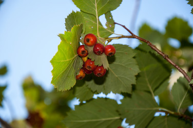 Similar image 2962089