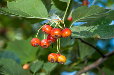 Similar image 2962093