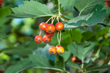 Similar image 2962097