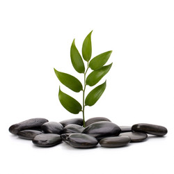 Similar image 2962098