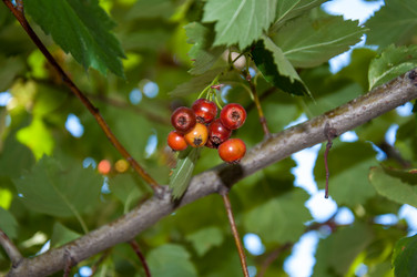 Similar image 2962114