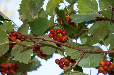 Similar image 2962116