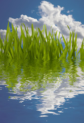 Similar image 2962137