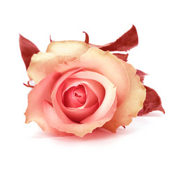 Similar image 2962139