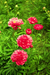 Similar image 2962225