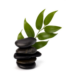 Similar image 2962237