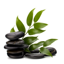 Similar image 2962285