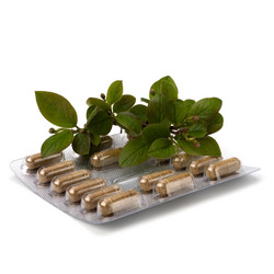 Similar image 2962291