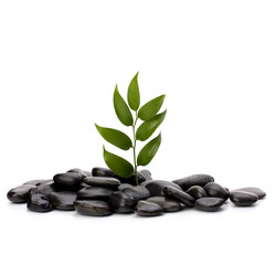 Similar image 2962295