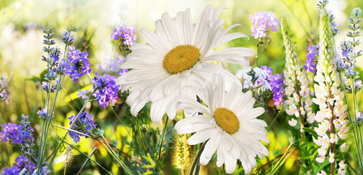 Similar image 2962302