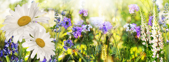 Similar image 2962303