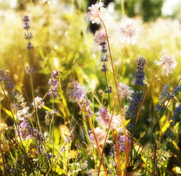 Similar image 2962304