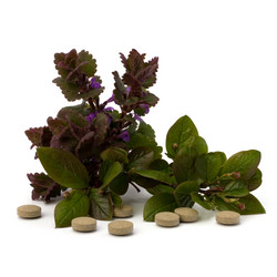 Similar image 2962314