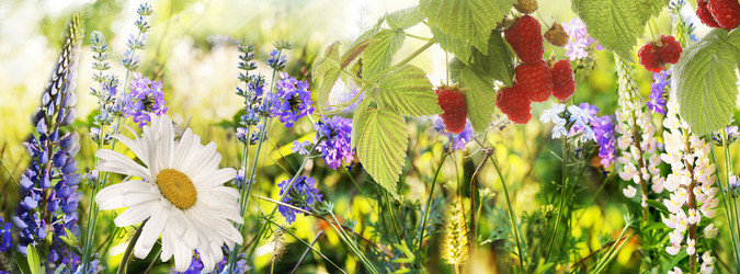 Similar image 2962326