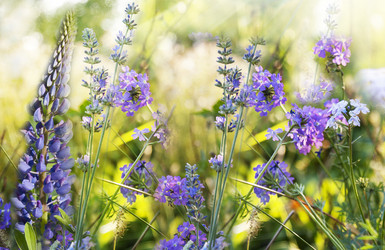 Similar image 2962327