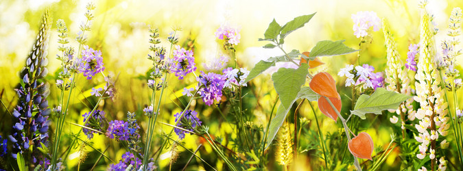 Similar image 2962328