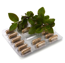 Similar image 2962436