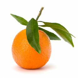 Similar image 2962438