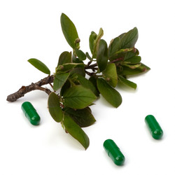 Similar image 2962439