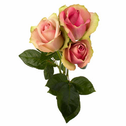 Similar image 2962444