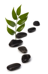 Similar image 2962451