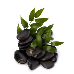 Similar image 2962460