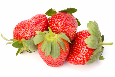 Similar image 2962474