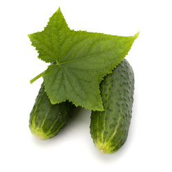 Similar image 2962499