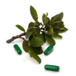 Similar image 2962509