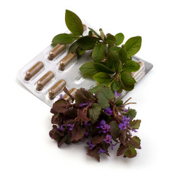 Similar image 2962520