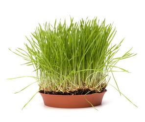 Similar image 2962559