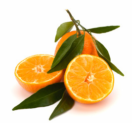 Similar image 2962565