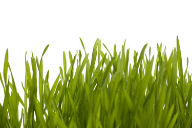 Similar image 2962573