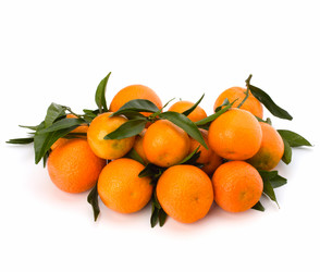 Similar image 2962577