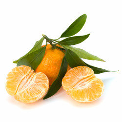 Similar image 2962578