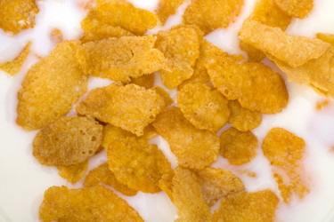 Similar image 2962580