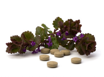 Similar image 2962585