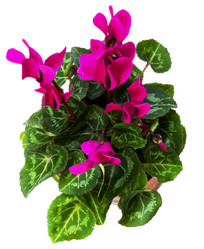 Similar image 2962689