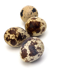 Similar image 2962722