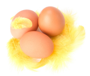 Similar image 2962770